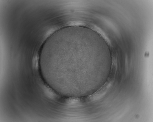 X0000103960110200809191520