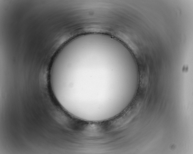 X0000103960111200809191520