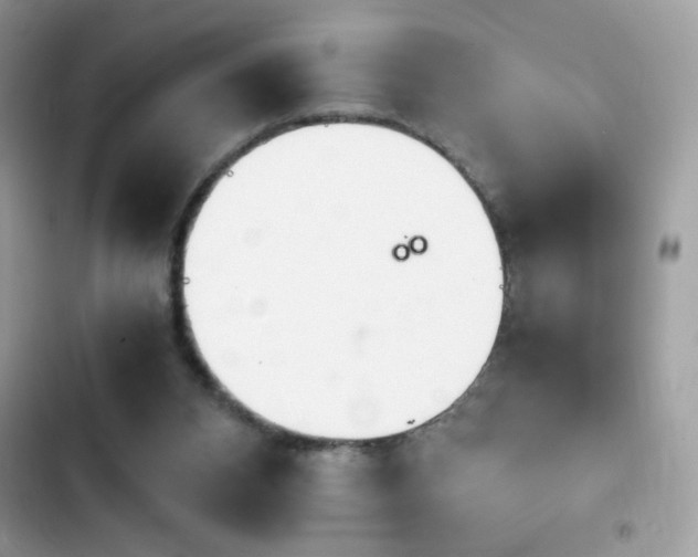 X0000103960112200809191520