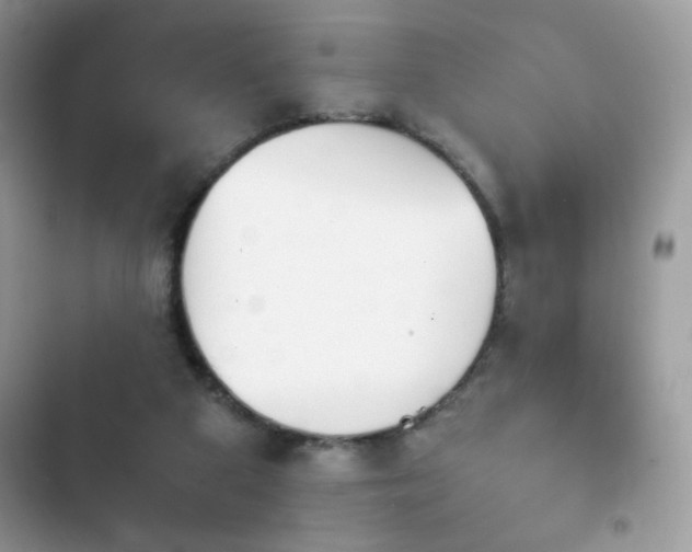 X0000103960113200809191520