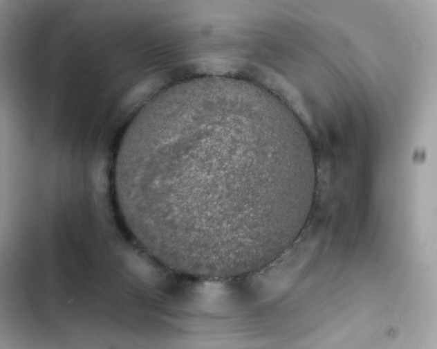 X0000103960114200809191520