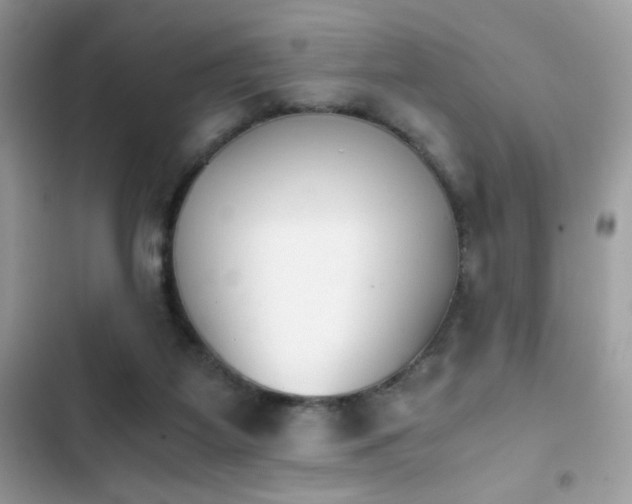 X0000103960115200809191520