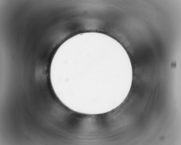 X0000103960116200809191520