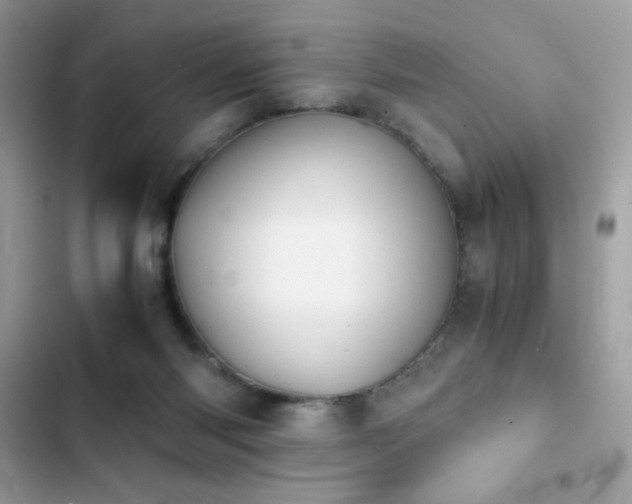 X0000103960118200809191520