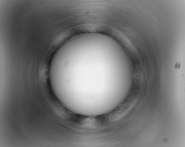 X0000103960119200809191520