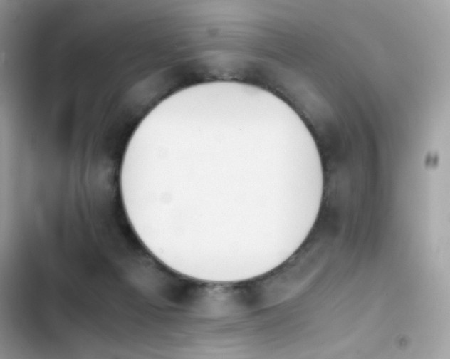 X0000103960121200809191520