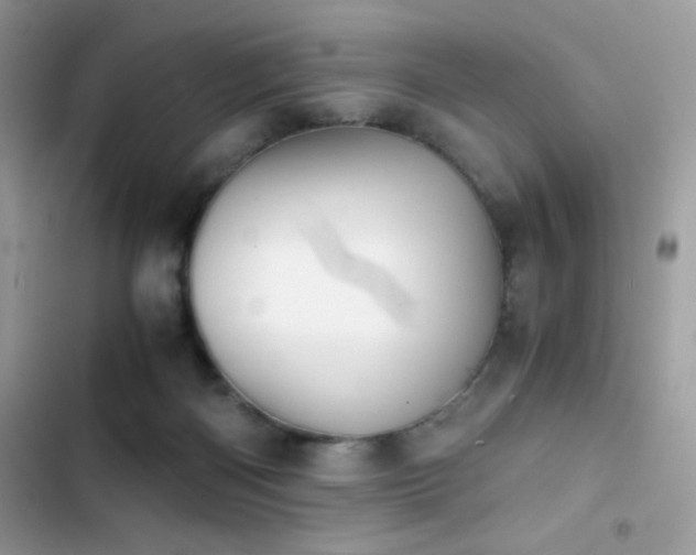 X0000103960122200809191520