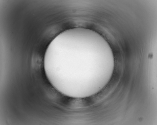 X0000103960123200809191520