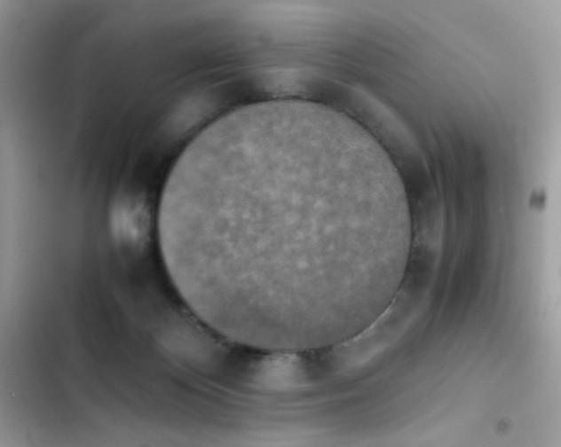 X0000103960124200809191520