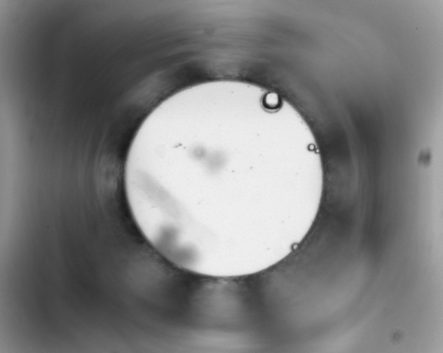 X0000103960125200809191520