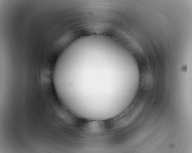 X0000103960126200809191520