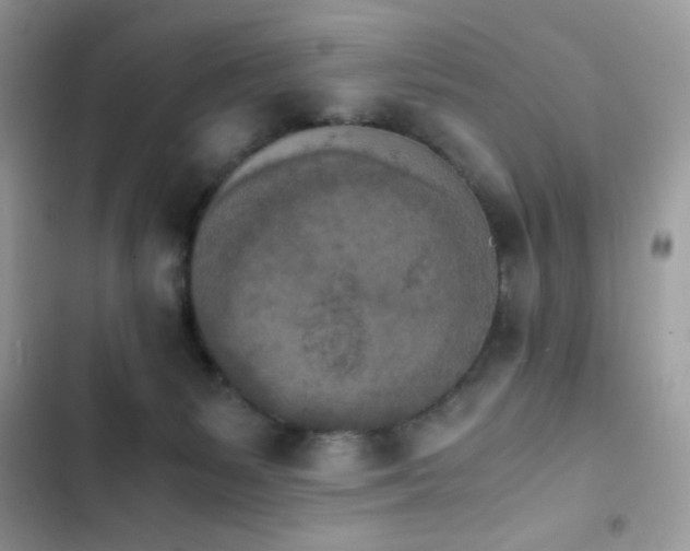 X0000103960127200809191520