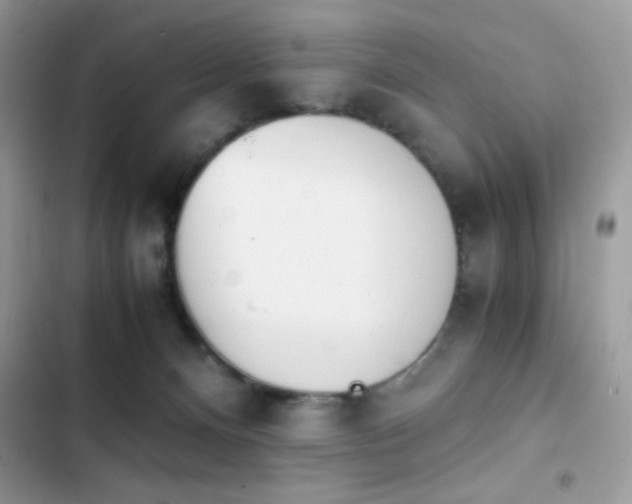 X0000103960128200809191520