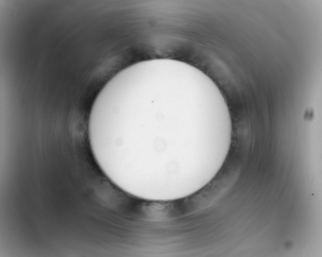 X0000103960129200809191520