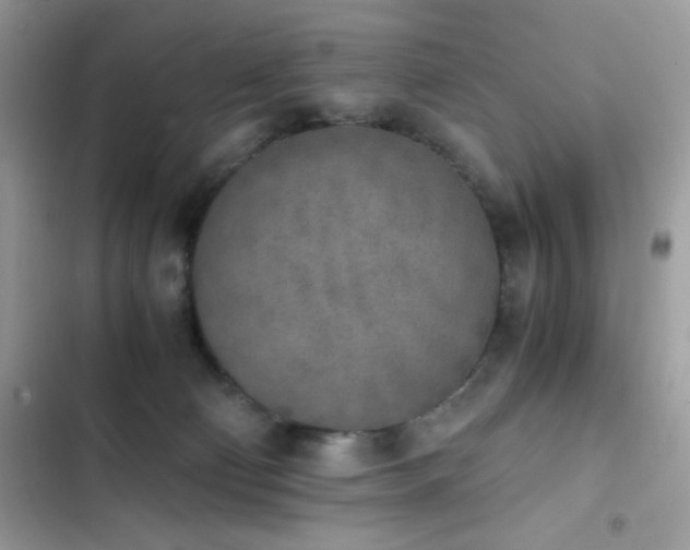 X0000103960130200809191520