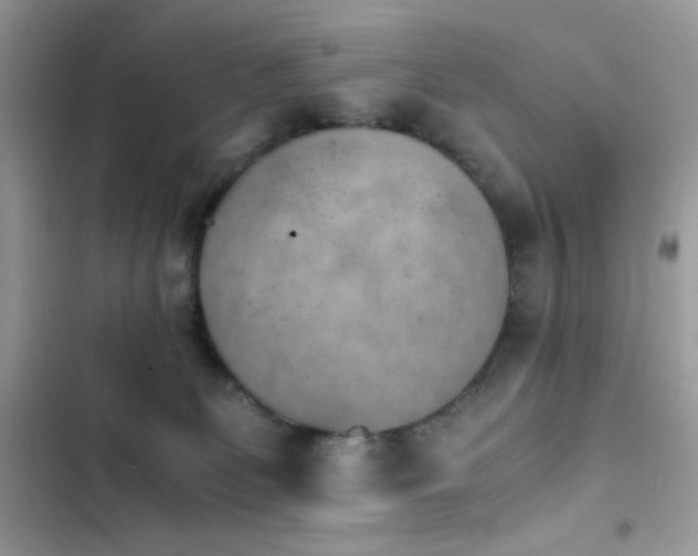 X0000103960131200809191520