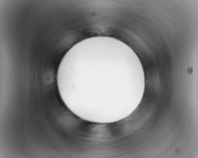 X0000103960132200809191520