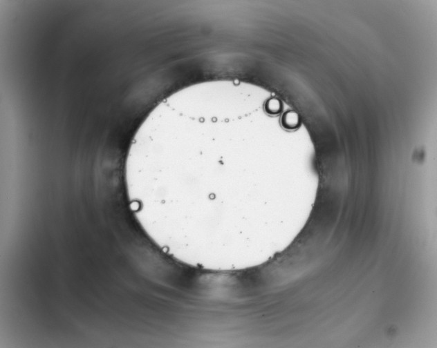 X0000103960133200809191520
