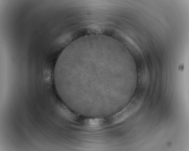 X0000103960134200809191520