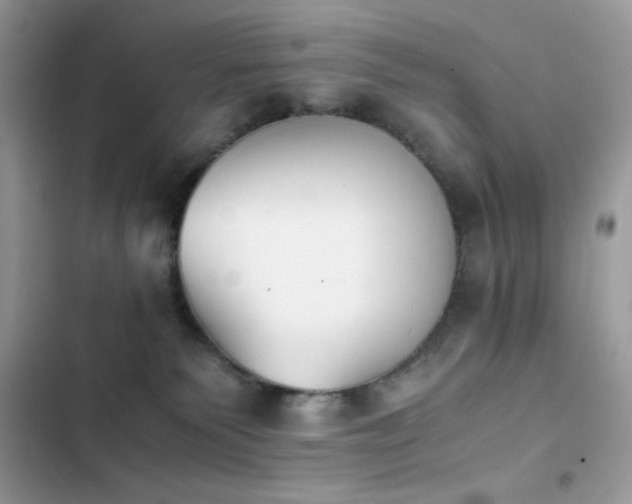 X0000103960135200809191520