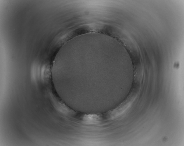 X0000103960137200809191520
