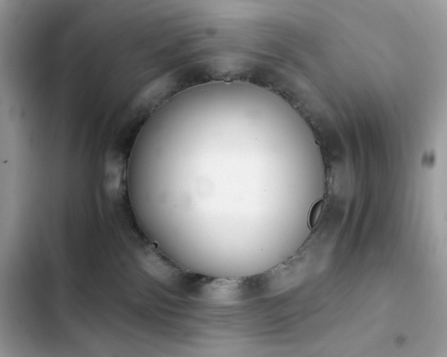 X0000103960138200809191520