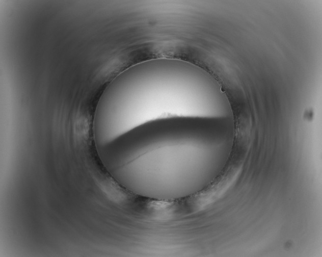 X0000103960139200809191520