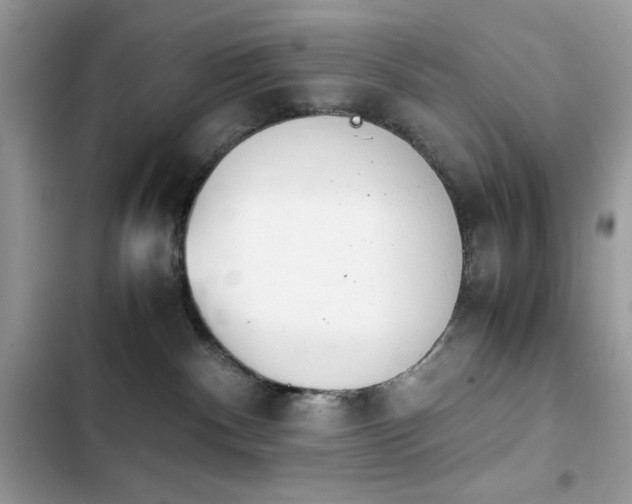 X0000103960140200809191520