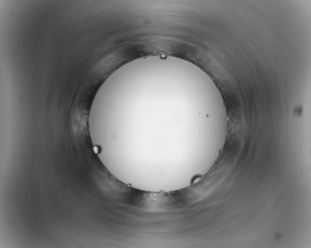 X0000103960141200809191520
