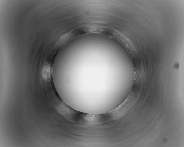 X0000103960142200809191520