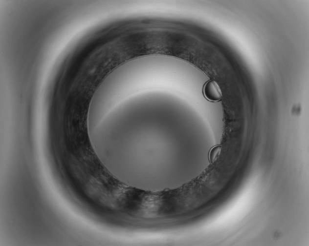 X0000103960143200809191520