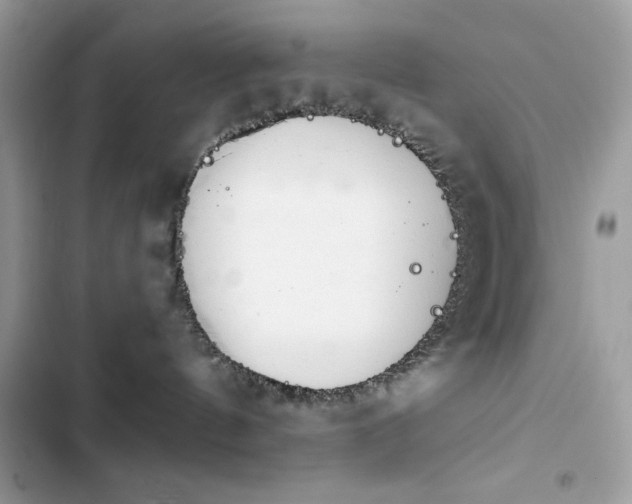 X0000103960144200809191520