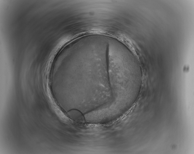 X0000103960145200809191519