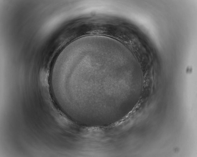 X0000103960146200809191519
