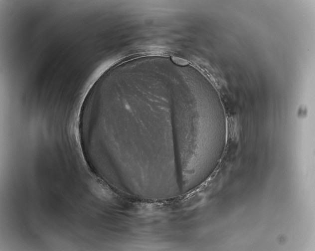 X0000103960147200809191519