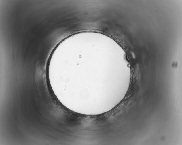 X0000103960148200809191519