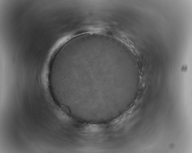 X0000103960149200809191519