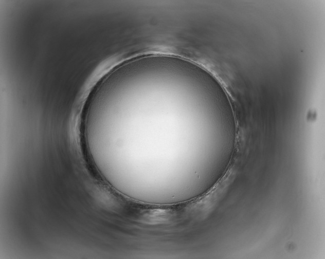 X0000103960151200809191519