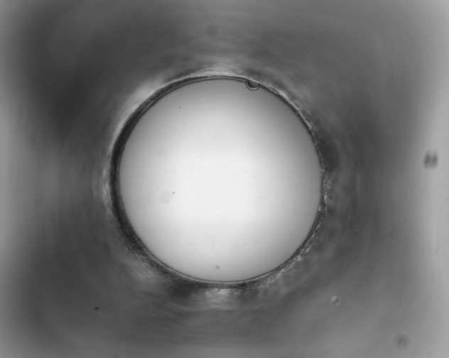 X0000103960152200809191519