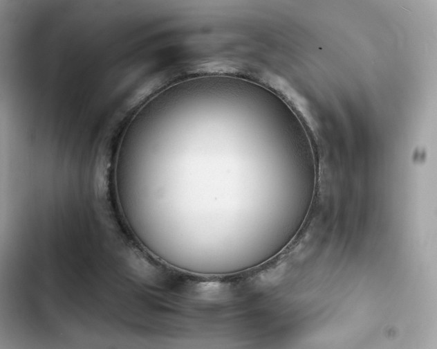 X0000103960153200809191519