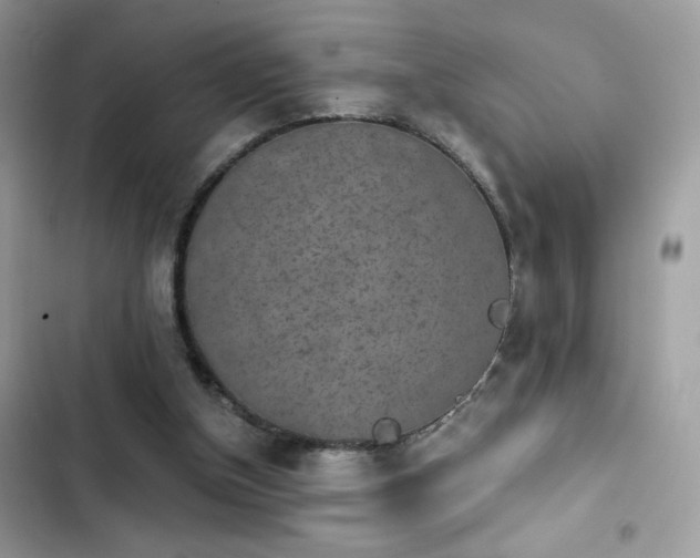 X0000103960154200809191519