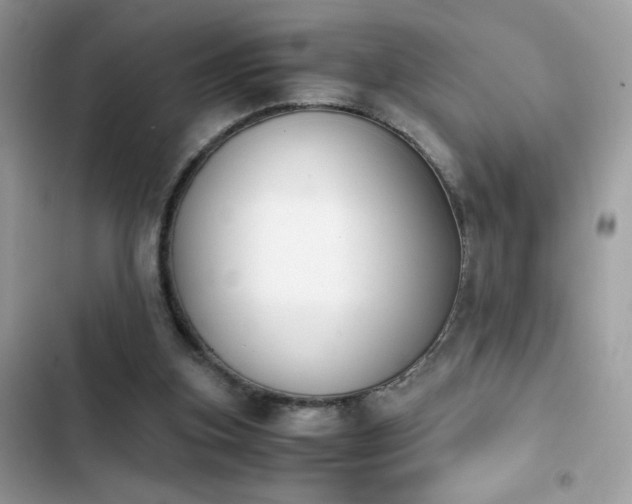 X0000103960155200809191519