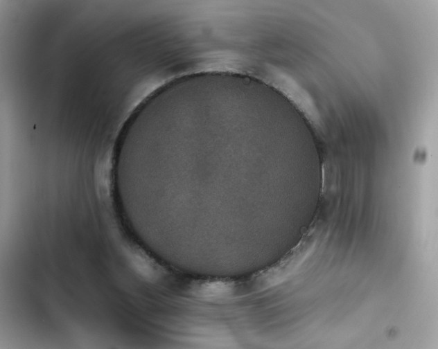 X0000103960156200809191519