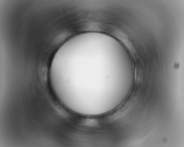 X0000103960157200809191519