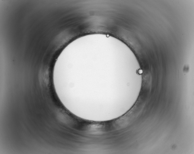 X0000103960158200809191519