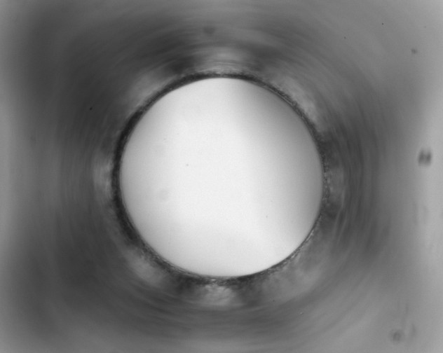 X0000103960159200809191519