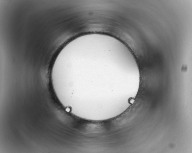 X0000103960160200809191519