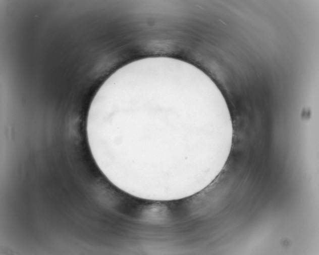 X0000103960162200809191519