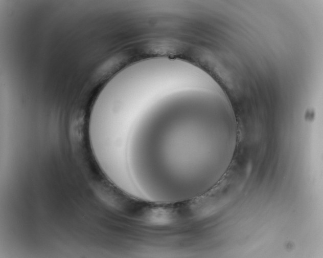 X0000103960163200809191519