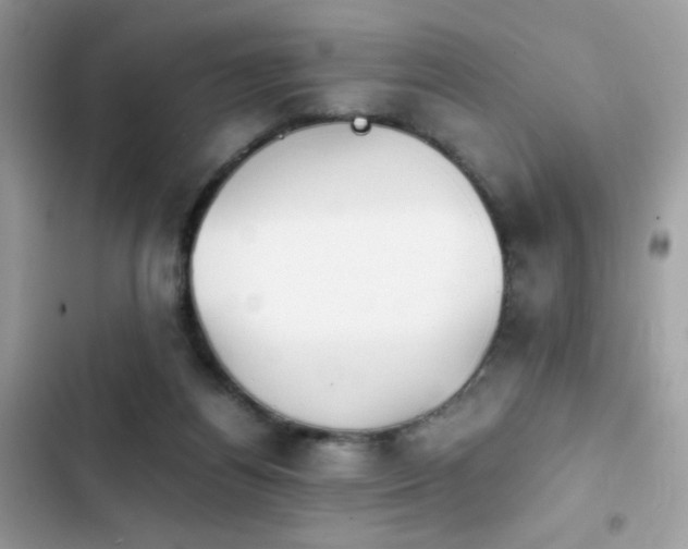 X0000103960164200809191519